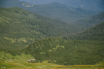 A close up of a hillside with a mountain in the background