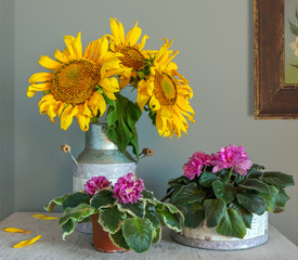Still life with a bouquet of beautiful sunflowers and blooming violets. Vintage. Retro.