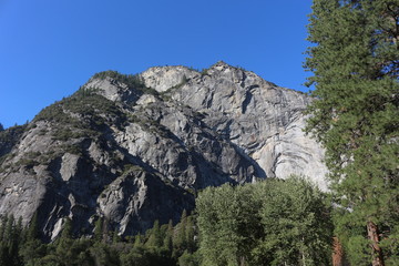 Views of Yosemite National Park 