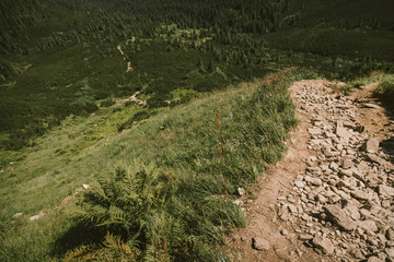 A train traveling down a dirt road