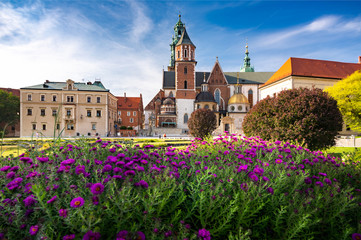 Katedra Wawelska. Wzgórze Wawelskie. Wawel. Kwiaty
 - obrazy, fototapety, plakaty