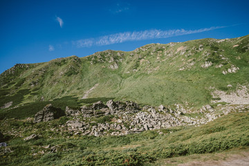 A herd of sheep grazing on a rocky hill