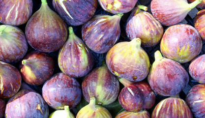 fresh figs on the market