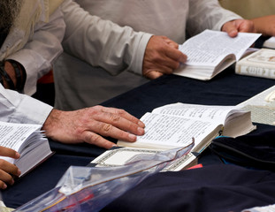 reading the Torah