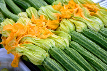 Young green zucchini vegetables with yellow flowers, healthy italian food