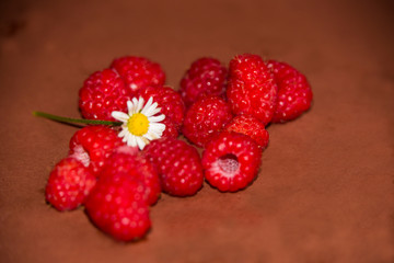 raspberries on a wooden background