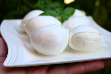 Fresh soft white italian cheese mozzarella buffalo made from Italian buffalo's milk by pasta filata method
