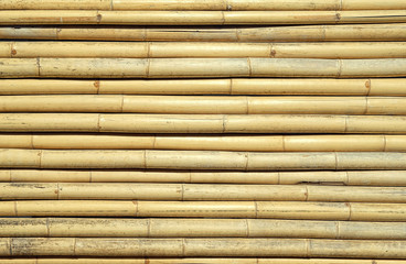 Yellow bamboo fence texture background. template for design