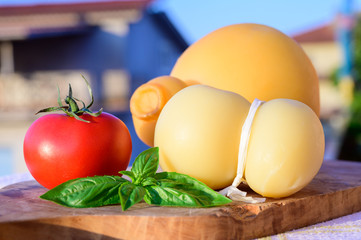 Cheese collection, Italian cheeses provolone, caciocavallo, scamorza made from sheep or cow milk in South Italy, white and yellow smoked.