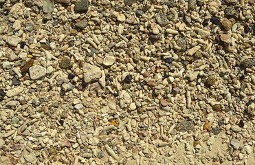 seashells, sea stone close up, seacoast texture background. small shell, small pebbles and sea sand abstract template.