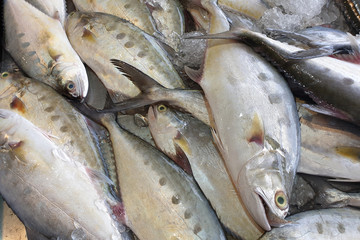 Heap of raw fresh sea water fish on Seafood Market Stall.