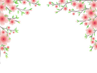 Pink blossom flowers with brown branches and green leaves are on the top border of white background 