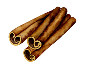 Hand drawn watercolor cinnamon sticks
