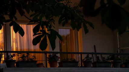 
Glimpse of a house at the end of the day, Its balcony blooms and its lighted veiled windows