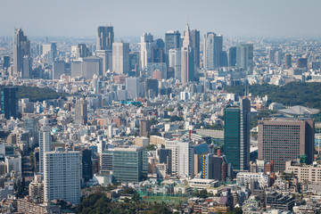 Fototapeta na wymiar A view on Tokyo from Skydeck at Mori Tower, Tokyo (Japan)