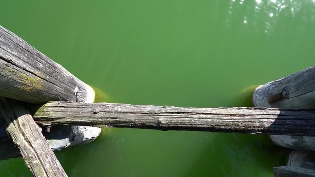 Germany Bavaria Ammersee landing stage wooden poles in the green water