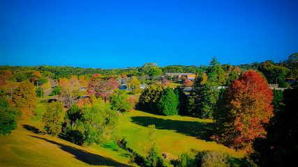 Distrito de Faxinal do Céu - Pinhão - Paraná - Brasil