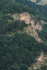 Acantilado de montaña con árboles y bosque