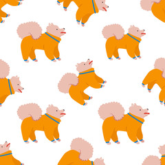 Seamless pattern with cartoon style icon of pomeranian spitz for different design. Background with family dog.