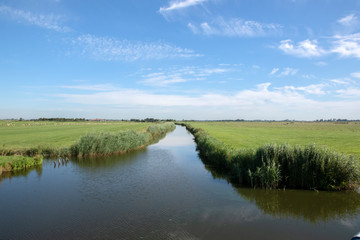 Fototapeta na wymiar Farm Landscape Around Uitdam The Netherlands 6-8-2020