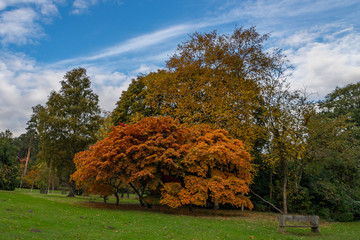 Autumn Colours