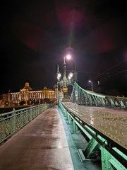 Obraz premium The Liberty Bridge and the Budapest Gellert hotel in the evening lights