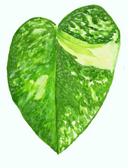 watercolor painting of leaf