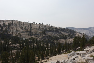 Fototapeta na wymiar great outdoors of Yosemite National Park