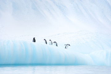 Penguins on Antarctica glacier