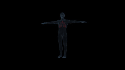 3d rendering virus enters the person and infects human lungs over black background.