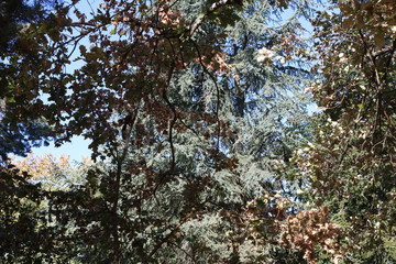 sécheresse août 2020