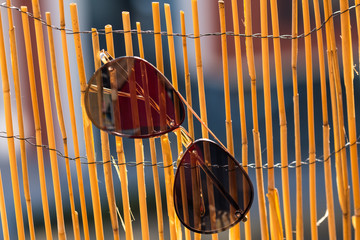Aviator Sunglasses model with big black lenses for men hanging on a bamboo fence in a sunny day. Selective focus