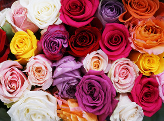 fresh colorful roses in a bouquet as background