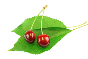 close up on red cherries with green leaves