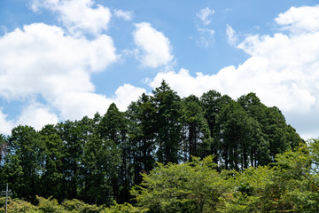 里山の風景と夏の空　千葉県大網白里市　日本