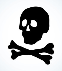 Skull and Bones. Vector drawing