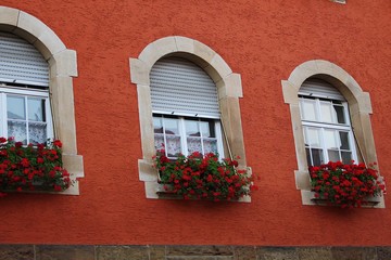 windows with flowers