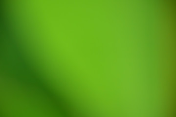 Natural blurred abstract or background.