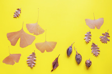 Autumn background. Autumn leaves on yellow paper. Free space for text