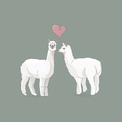 Vector illustration of two llamas or alpacas and a heart between them. Love. Cartoon style pastel colors. For design, postcards, packaging.