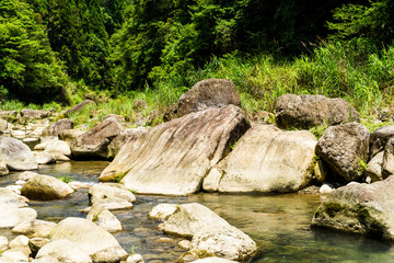Naklejka na ściany i meble Valley of the river with Beautiful forest in Taiwan. Close-up of stones under the stream in the valley