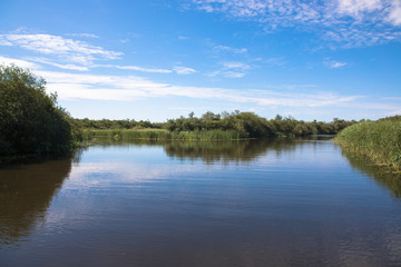 Fototapeta na wymiar Views of the River Ant, The Broads, Norfolk, UK