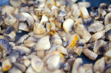 Fried mushrooms close up. Cooking. Healthy food