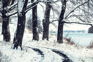 The road on the shore river between trees during snowfall in winter