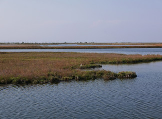 vista della laguna nei dintorni di chioggia in italia