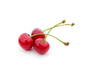 Red ripe cherries.