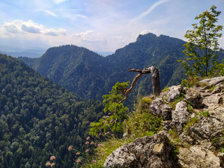 man on the top of the mountain © Kamila