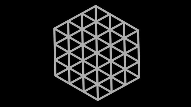 Graphic object in the shape of concatenated hexagons, in black and white with a stroboscopic and hypnotic effect, which rotates clockwise, decreasing the dimensions that disappear in the center.