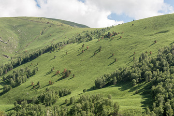 mountain landscape with deep gorge. mountains, green pass. Picturesque  scenery with beautiful hills and rocks. Colorful view to unusual relief. Caucasus mountain