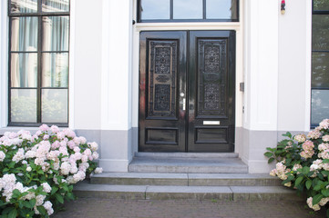 Fototapeta na wymiar Entrance to a country house with a green door in Zwolle, Netherlands